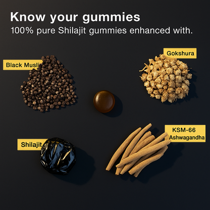 GORIZIA® Shilajit Gummies Unlock Himalayan Energy & Power